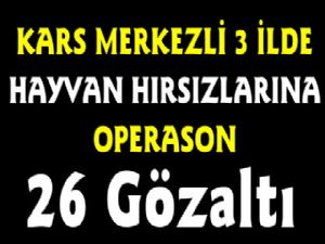 Kars Merkezli 3 İlde Hayvan Hırsızlarına Operasyon , 26 Gözaltı