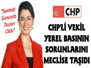 DİDEM ENGİN'DEN YEREL BASINA DESTEK İÇİN SORU ÖNERGESİ