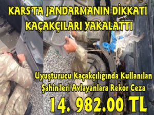 Kars'ta Uyuşturucu Ticaretinde Yırtıcı Kuşları Kullanan Şahıslara Rekor Ceza