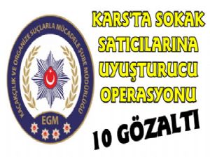 Kars Polisinden Uyuşturucu Operasyonu, 10 Gözaltı