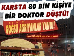 Kars'ta 80 Bin Kişiye 1 Doktor Düştü