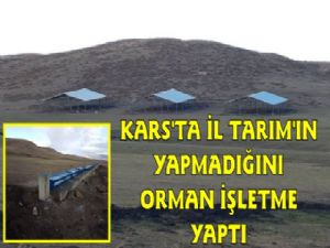 Orman İşletmenin Mera Islahı Köylüyü Memnun Etti