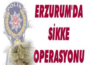 Erzurum'da 409 adet sikke ele geçirildi