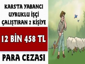 Kars'ta Yabancı Uyruklu İşçi Çalıştıran iki Kişiye 12 Bin TL Para Cezası