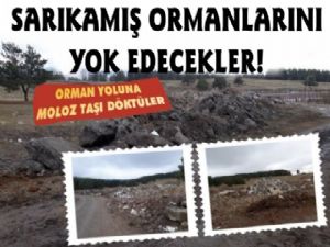 Sarıkamış Halkı Ormanları Kirletenlerden Hesap Sorulmasını İstiyor