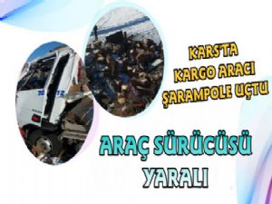 Kars'ta Kargo Aracı Şarampole Uçtu 1 Yaralı