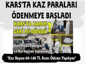 Kars'ta Kaz Paraları Ödeniyor