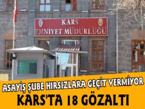 Kars Polisinden Hırsızlara Operasyon, 18 Gözaltı