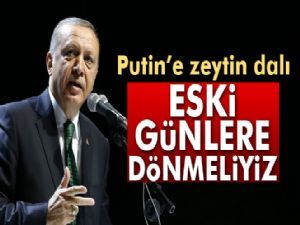 Erdoğan'dan Putin'e zeytin dalı