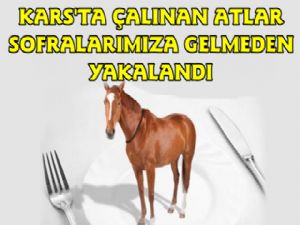 Kars'ta Çalınan Atlar Kamyon Kasasında Yakalandı