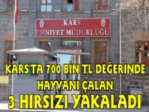 Kars'ta 700 Milyarlık Hayvan Çalan Hırsızlar Yakalandı