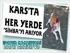 Kars'ta İki Aydır Kayıp Köpeğini Arıyor