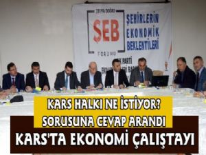 Kars'ta Şehirlerin Ekonomik Beklentileri Çalıştayı