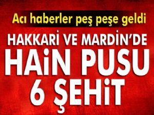 Hakkari ve Mardin'de hain pusu: 6 şehit