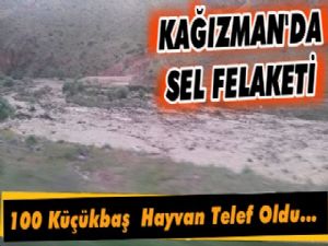 Kağızman'da Sel Felaketi