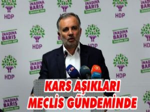 Kars Aşıkları Meclis Gündeminde!