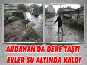 Ardahan'da Yağmur Hasara Yolaçtı