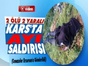 Kars'ta ayı saldırısı: 2 ölü, 2 yaralı