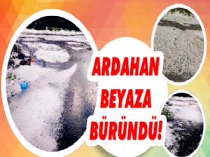 Ardahan Temmuz'da Beyaza Büründü!