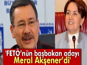 Gökçek: 'FETÖ'nün başbakan adayı Meral Akşener'di'