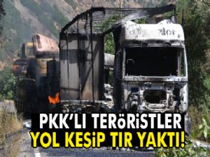 PKK, Çat-Karlıova yolunda 3 TIR'ı ateşe verdi