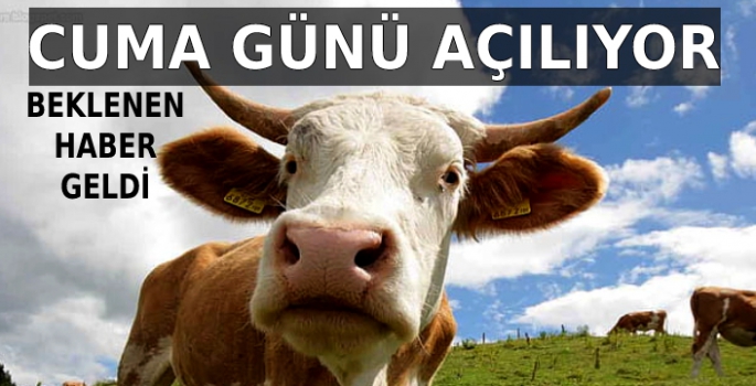 Hayvan Pazarları Cuma Günü Açılıyor