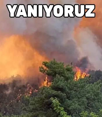 İki Günde 113 Yangın: 6'sı Hâlâ Devam Ediyor