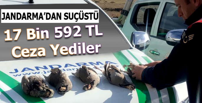 Jandarma'dan Kaçak Avcılara Suçüstü