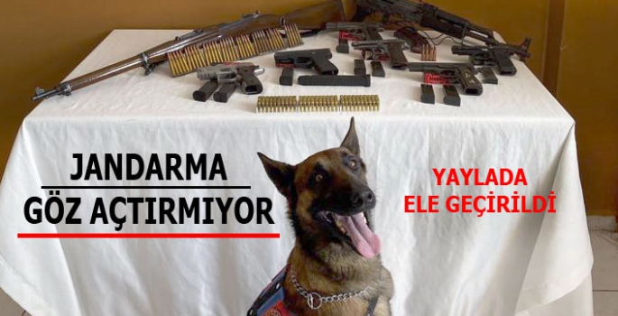 Jandarma Göz Açtırmıyor