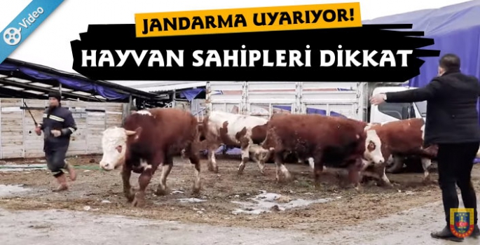 Jandarma Hayvan Sahiplerini Uyarıyor