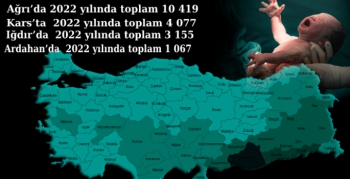 2022'de Kars'ta Kaç Çocuk Dünyaya Geldi