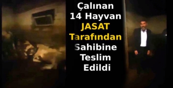 Çalınan 14 Hayvan JASAT Tarafından Sahibine Teslim Edildi