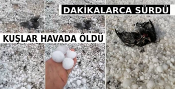 Dakikalarca Devam Eden Dolu Hayatı Felç Etti