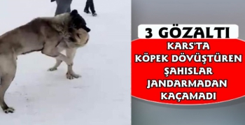 Kars'ta Köpek Dövüştüren 3 Kişi Yakalandı