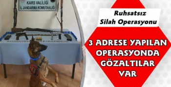 Kars'ta Ruhsatsız Silah Operasyonu 3 Gözaltı