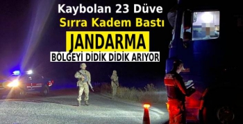 Kaybolan 23 Düve, Sırra Kadem Bastı
