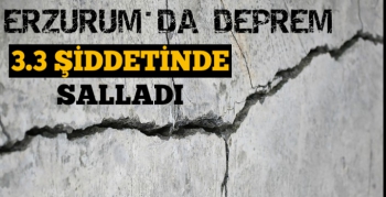 Komşu 3.3 Şiddetinde Sallandı