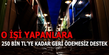 O İşi Yapanlara 250 Bin TL'ye Kadar Geri Ödemesiz Destek