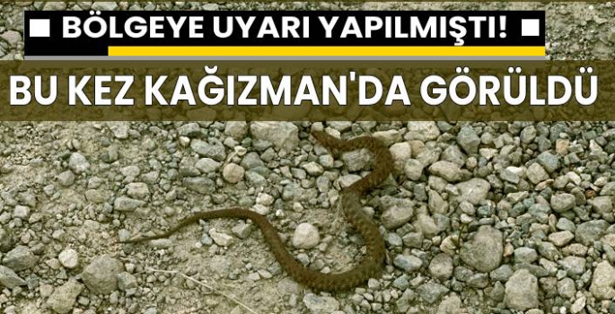 Kağızman'da da Görüldü!