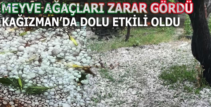 Kağızman'da Dolu Meyve Ağaçlarını Vurdu