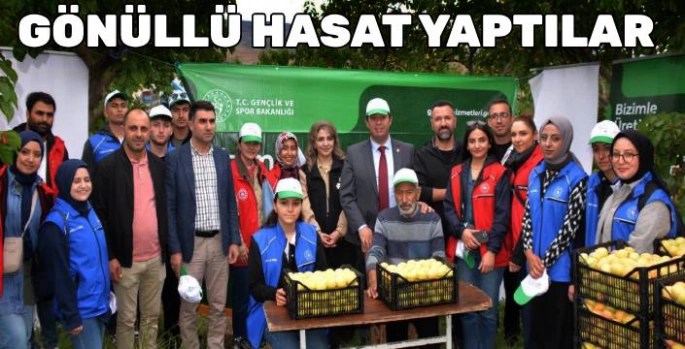 Kağızman'da Gençlerden Gönüllü Hasat: Geleceğe Üretimle İz Bıraktılar