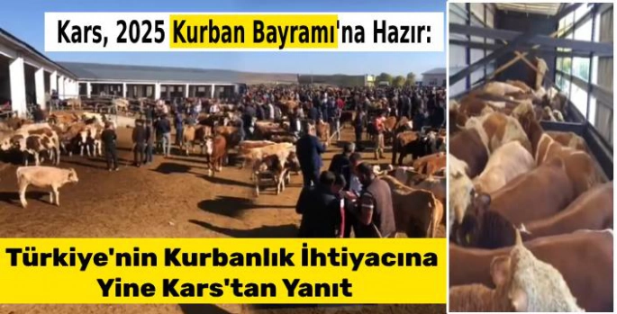 Kars, 2025 Kurban Bayramı'na Hazır: Türkiye'nin Kurbanlık İhtiyacına Yine Kars'tan Yanıt