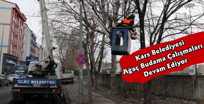 Kars Belediyesi Ağaç Budama Çalışmaları Devam Ediyor 