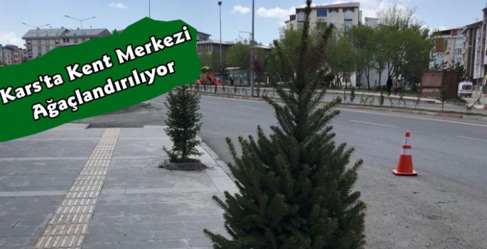 Kars Belediyesi'nden Ağaçlandırma Çalışması