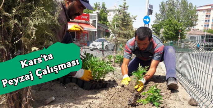 Kars Belediyesi'nden Peyzaj Çalışmaları