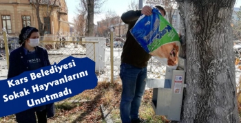 Kars Belediyesi Sokak Hayvanlarını Unutmadı