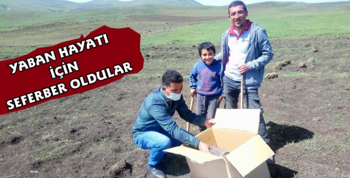 Kars Doğa Koruma Yaban Hayatı İçin Seferber Oldu