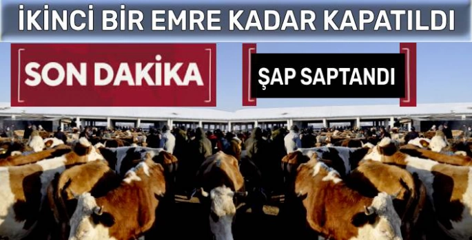 Kars Hayvan Pazarı Şap Hastalığı Nedeniyle Kapatıldı