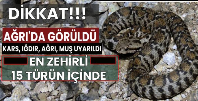 Kars, Iğdır, Ağrı ve Muş İllerine Uyarı: Dikkatli Olun!!