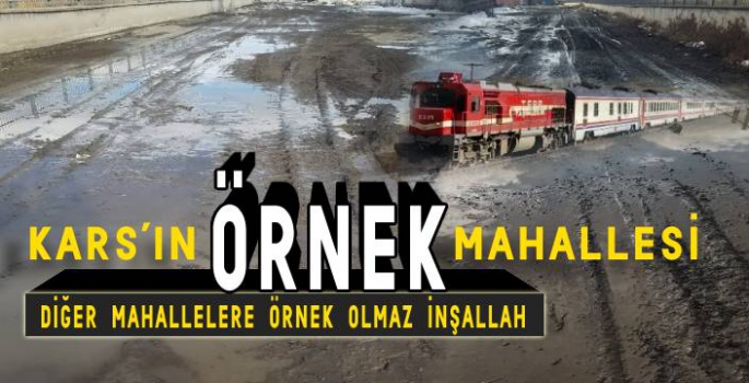 Kars'ın Örnek Mahallesi!